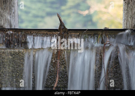 Waters streams over the spillway of a small concrete dam that blocks Hartman Creek and forms a small lake. Stock Photo