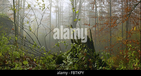 Waldstein mountains of Fichtelgebirge Stock Photo