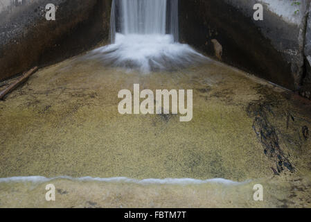 Waters streams over the spillway of a small concrete dam that blocks Hartman Creek and forms a small lake. Stock Photo