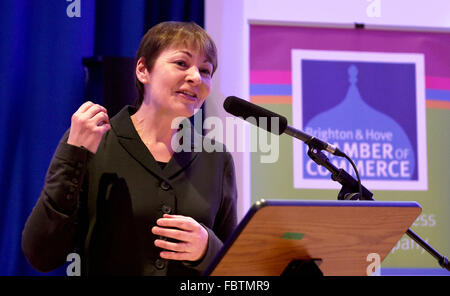 The Brighton and Hove Chamber of Commerce The Big Debate on 'Should the EU be More Business Friendly?' held at the Brighthelm Centre in Brighton with speakers Caroline Lucas the Green MP for Brighton Pavilion and Conservative MEP Daniel Hannan Photo shows Caroline Lucas speaking - Credit Simon Dack/Vervate/Alamy Live News Stock Photo