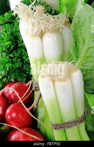 Fresh Onion close up viev - Abstract. Stock Photo