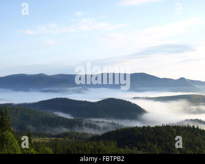 misty valley in the wooded mountains Stock Photo