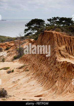 Rugged razor edged erosion in the sandstone on Torrey Pines hillside Stock Photo