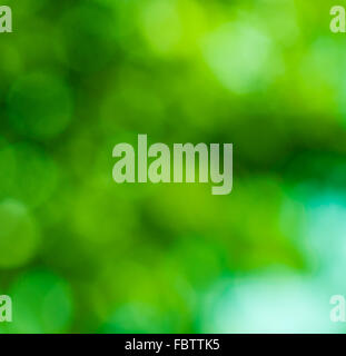 abstract green bokeh, perfect summer background Stock Photo