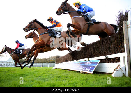 National hunt racing at Plumpton in West Sussex. Stock Photo