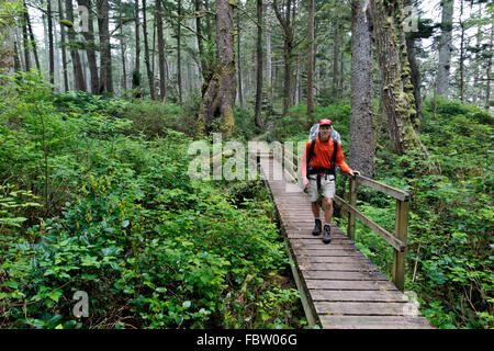 CANADA -BRITISH COLUMBIA - Hiker on the boardwalk through forested section of the West Coast Trail north of Tsusiat Falls. Stock Photo