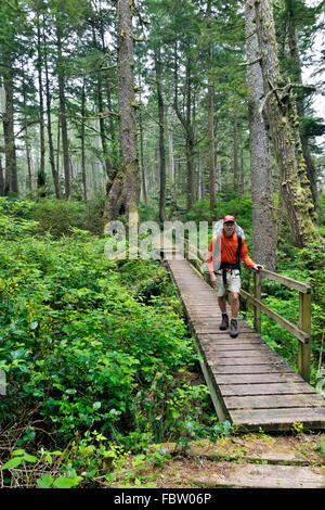 BRITISH COLUMBIA-Hiker on boardwalk through forested section of the West Coast Trail north of Tsusiat Falls on the Pacific Ocean Stock Photo