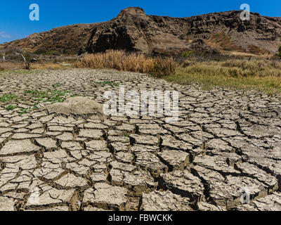 A close-up view of dried out mud flats with large cracks and peeling tops in between flat areas and hill in background. Stock Photo