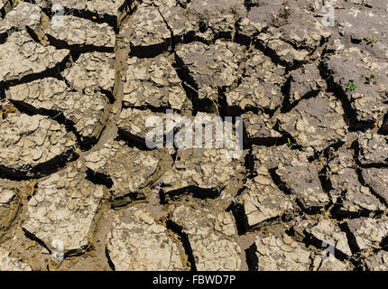 A close-up view of dried out mud flats with large cracks and peeling tops in between flat areas. Stock Photo