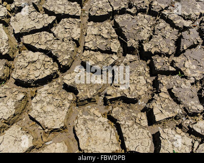 A close-up view of dried out mud flats with large cracks and peeling tops in between flat areas. Stock Photo