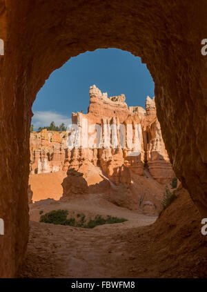 Red pinnacles (hoodoos) of Bryce Canyon, Utah, USA Stock Photo