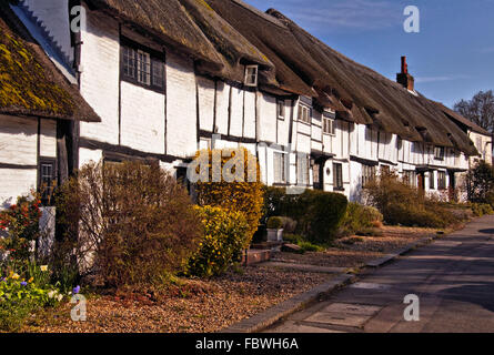 Traditional thatched cottages in Wendover Stock Photo