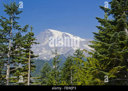 View on Mount Rainier Stock Photo