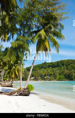 Beach on the Koh Kood island, Thailand Stock Photo