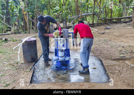 Sugar cane extractor Stock Photo