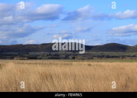 Landscape around Lemnos lagoon saltlake or saline (or Aliki in Greek). Moudros municipality, Greece. Stock Photo