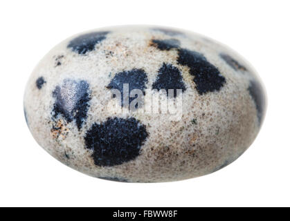 natural mineral gem stone - specimen of dalmatian jasper (Dalmatian stone) gemstone isolated on white background close up Stock Photo