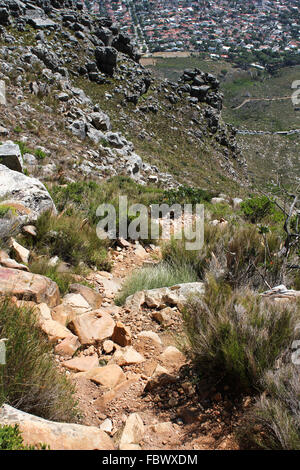 Hiking Path on table Mountain, South Africa Stock Photo