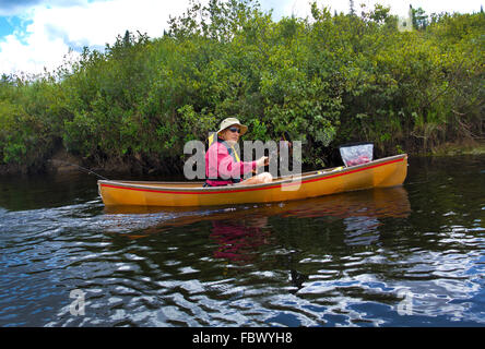 Senior man paddling canoe on Limekiln Lake near the shoreline in the Adirondack Mountains of New York state. Stock Photo