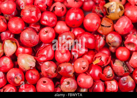 food background - dried red pepper peppercorns Stock Photo