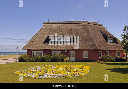 thatched house Stock Photo