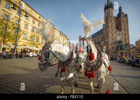 KRAKOW, POLAND - November 13, 2015: Horse carriages at main square in Krakow in a autumn day, Poland on November 13, 2015 Stock Photo