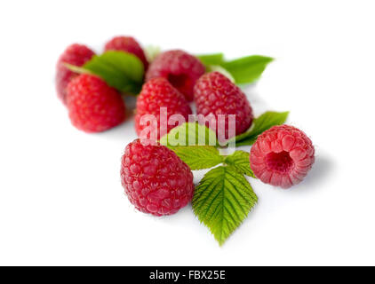 Delicious first class fresh raspberries background Stock Photo - Alamy