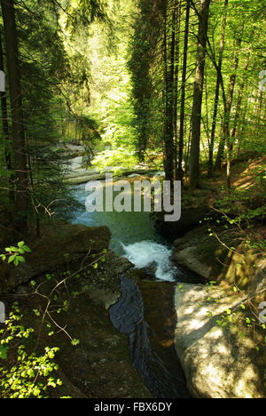The Argen in the Ice Ravine Stock Photo