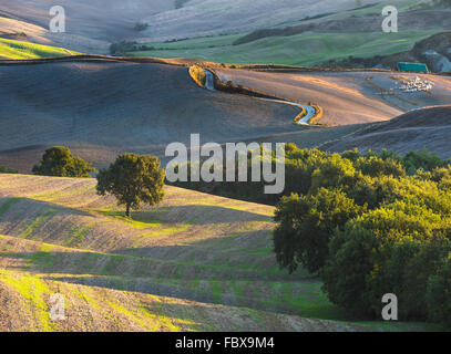 Tuscan landscape the national park of Val d'Orcia, a UNESCO heritage site Stock Photo