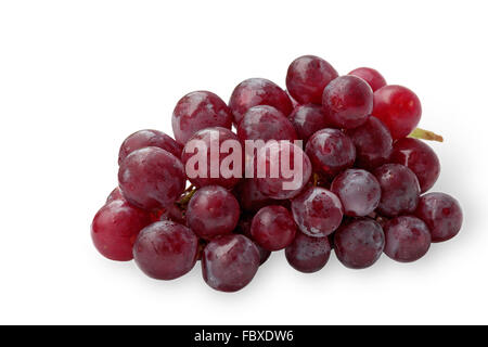 red grape isolated on white red grape isolated on white