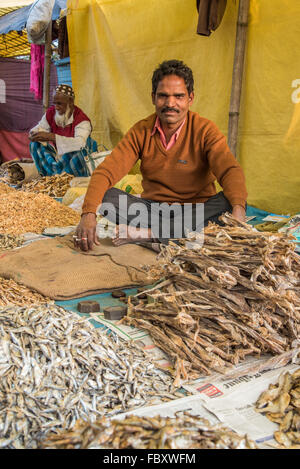 Indian market. Two seated male market traders selling assorted dried fish at the very large and very vibrant Balipara Saturday Market,  Assam, India. Stock Photo