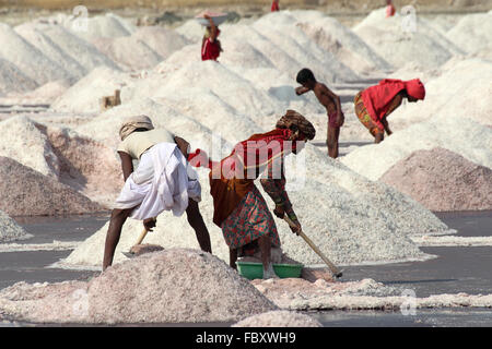 salt mining on Sambhar lake in India Stock Photo