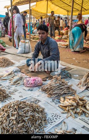 Indian market. A male market trader selling assorted dried fish at the very large and very vibrant Balipara Saturday Market,  Assam, India. Stock Photo