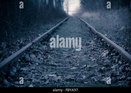 Railwayrails in the high forest alley at winter sunset time Stock Photo