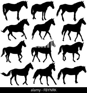 Set vector silhouette of horse Stock Photo