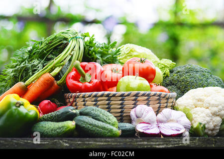 Fresh organic vegetables in wicker basket in the garden. Stock Photo