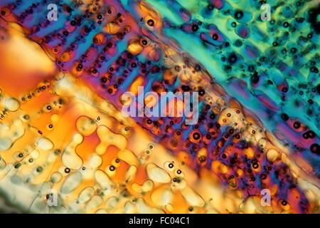 Eis unter dem Mikroskop Stock Photo