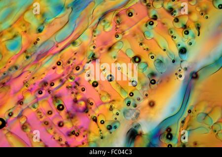 Eiskristalle unter dem Mikroskop. Stock Photo