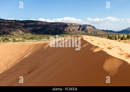 Coral Pink Sand Dunes 13 Stock Photo