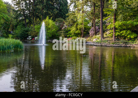 Fountain and blooming rhododendrons at Crystal Springs Rhododendron Garden, Portland, Oregon, USA Stock Photo