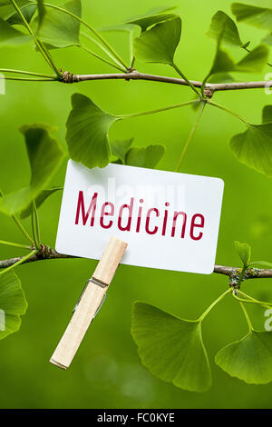 The Word „Medicine in a Ginkgo Tree Stock Photo