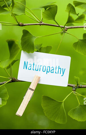 The Word „Naturopathy in a Ginkgo Tree Stock Photo