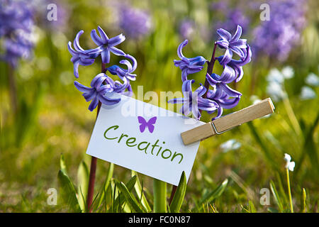 The word „Creation“ with  hyacinths Stock Photo