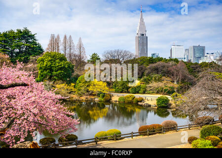 Tokyo, Japan at the Shinjuku District during spring season. Stock Photo