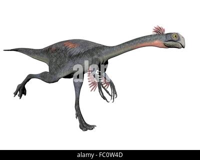 gigantoraptor dinosaur - 3d render Stock Photo