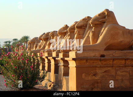 egypt statues of sphinx in karnak temple Stock Photo