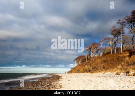 baltic beach germany Stock Photo