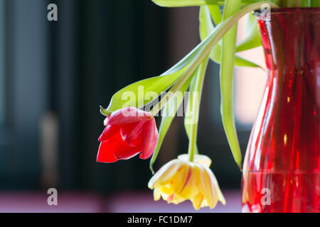 Wilting flowers in a vase Stock Photo - Alamy