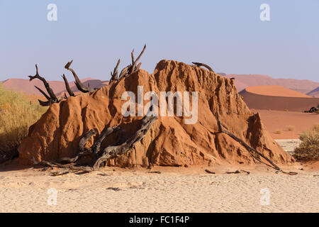 Sossusvlei beautiful sunrise landscape of hidden death valley in Namibian desert with blue sky, best place in Namibia Stock Photo