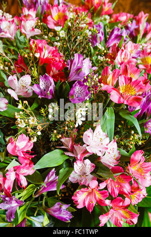Big multicolor alstroemeria  flowers bouquet Stock Photo